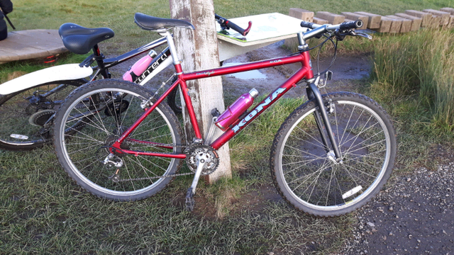 raleigh max mountain bike 1997
